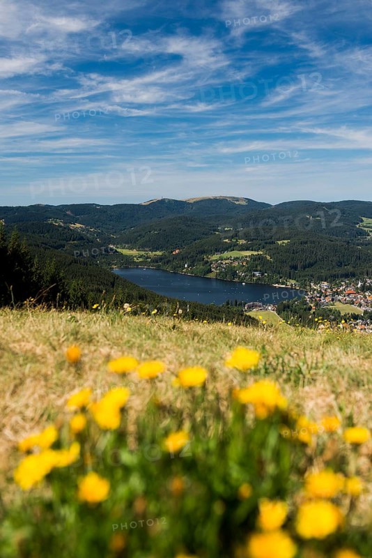 Titisee, Black Forest, Southern Black Forest, Baden-WÃ¼rttemberg, Germany