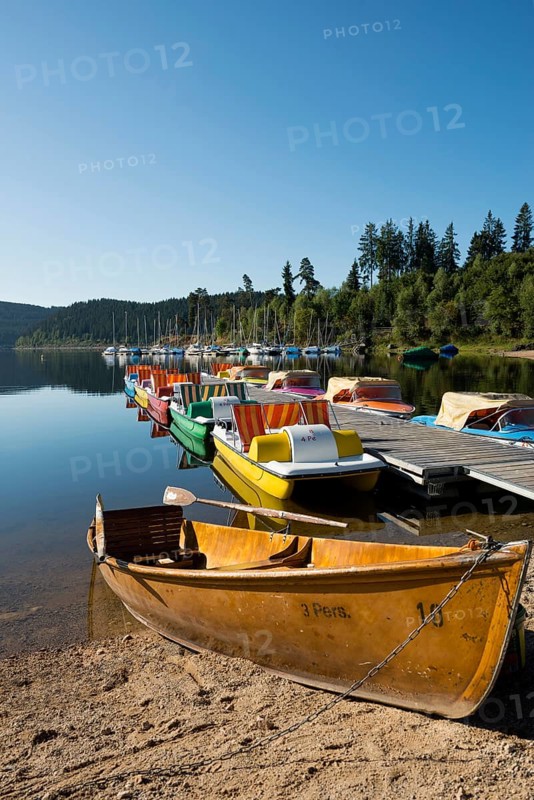 Morning atmosphere with colorful paddle boats and rowing boats, Schluchsee, Black Forest, Southern Black Forest, Baden-WÃ¼rttemberg, Germany