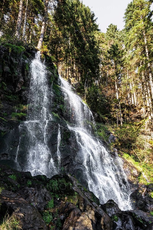 Zweribach Waterfalls, protected forest, St MÃ¤rgen, Black Forest, Southern Black Forest, Baden-WÃ¼rttemberg, Germany