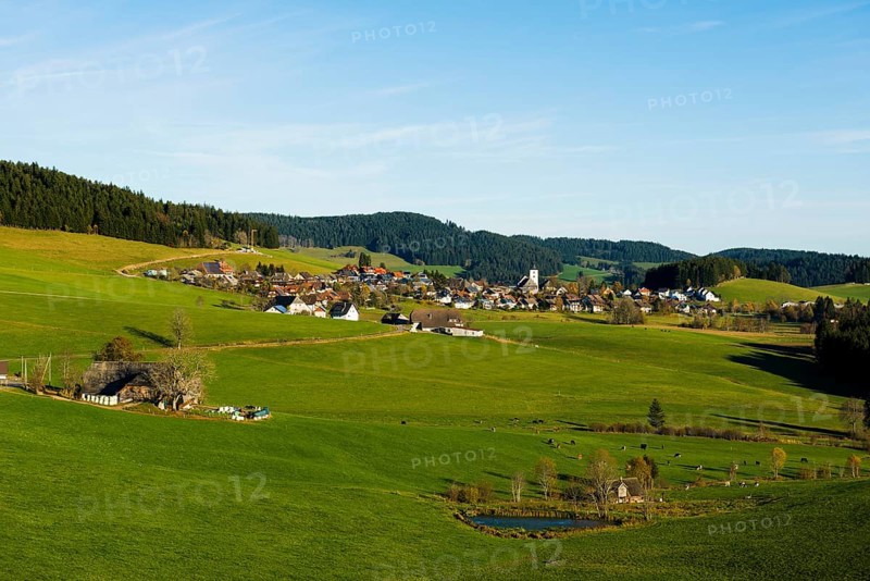 Breitnau, Black Forest, Southern Black Forest, Baden-WÃ¼rttemberg, Germany