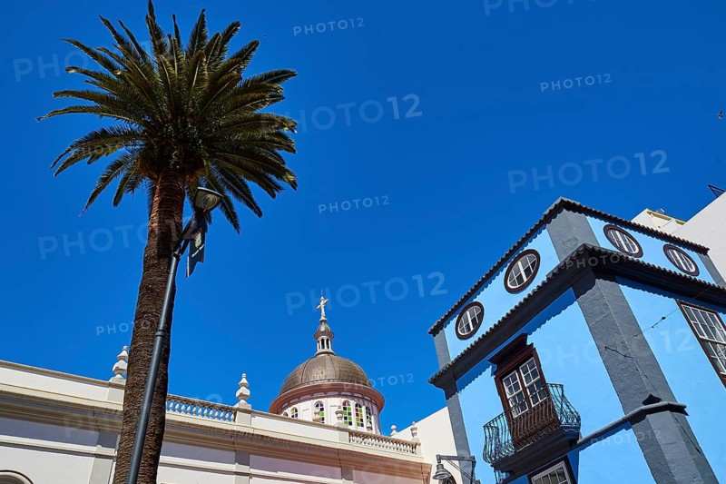 Palm tree and classic building against deep blue sky, UNESCO World Heritage Old Town of San Crstobal de La Laguna, La Laguna, Tenerife, Canary Islands, Spain