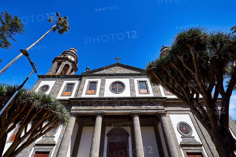 Nuestra Senora de los Remedios Cathedral, historic church with large arched windows and palm trees in the foreground under blue sky, UNESCO World Heritage Old Town of San Crstobal de La Laguna, La Laguna, Tenerife, Canary Islands, Spain