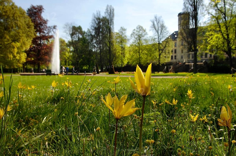 Castle Park, Fulda City Palace, Hesse, Germany