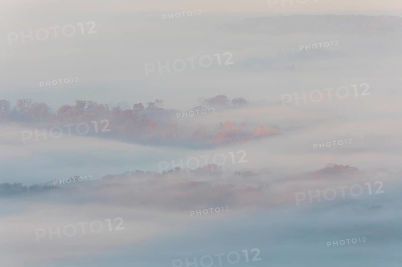Idyllic atmosphere with orange treetops in morning fog, autumn forest in the golden light of sunrise in the foothills of Alb