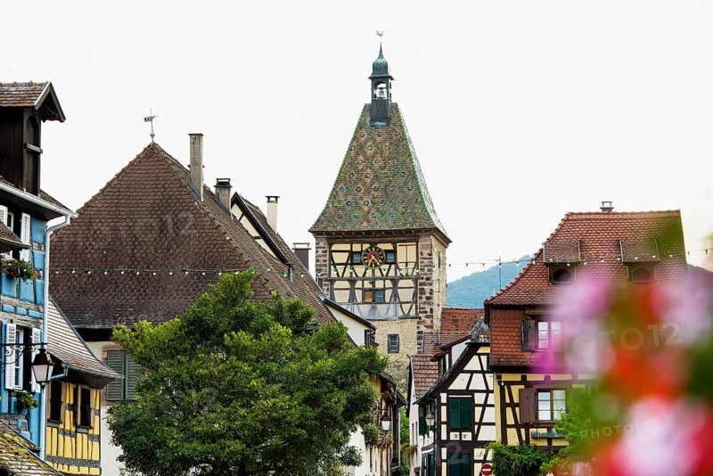 Picturesque village with half-timbered houses, Bergheim, Haut-Rhin, Alsace, France