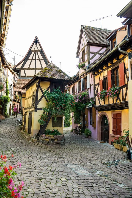 Picturesque village with half-timbered houses, Eguisheim, Haut-Rhin, Alsace, France