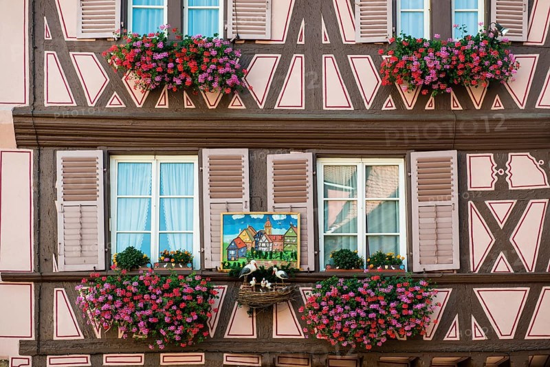 Timbered house, La Petite Venise, Krutenau district, Old Town, Colmar, Alsace, France