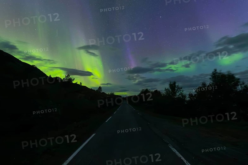 Road with northern lights at dawn at SÃ¸rfolda Fjord near KjerringÃ¸y between BodÃ¸ and SÃ¸rfold in Norway