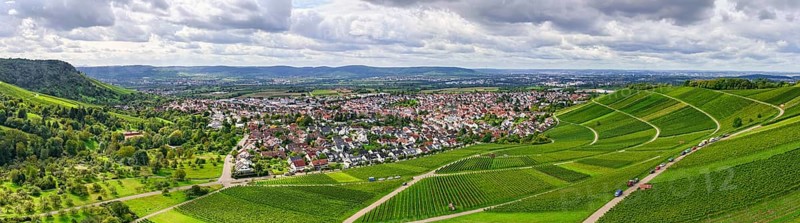 Panoramic view of a village with extensive green vineyards in the foreground, near Korb im Remstal, Baden-WÃ¼rttemberg, Germany