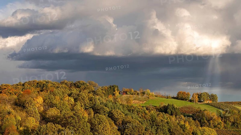 Cultural landscape in southern Burgenland in the late afternoon, Kukmirn, Burgenland, Austria
