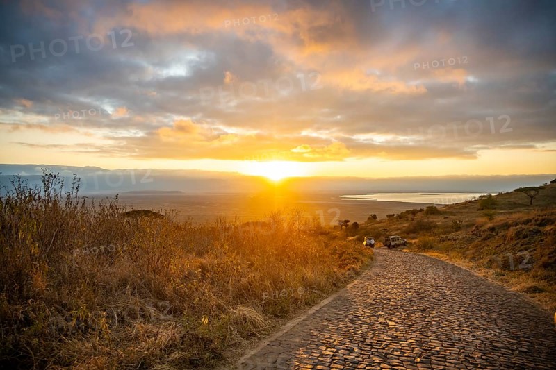 Road leading into Ngorongoro Crater, at sunrise, atmospheric morning light, view of Ngorongoro Crater, Ngorongoro Conservation Area, Tanzania