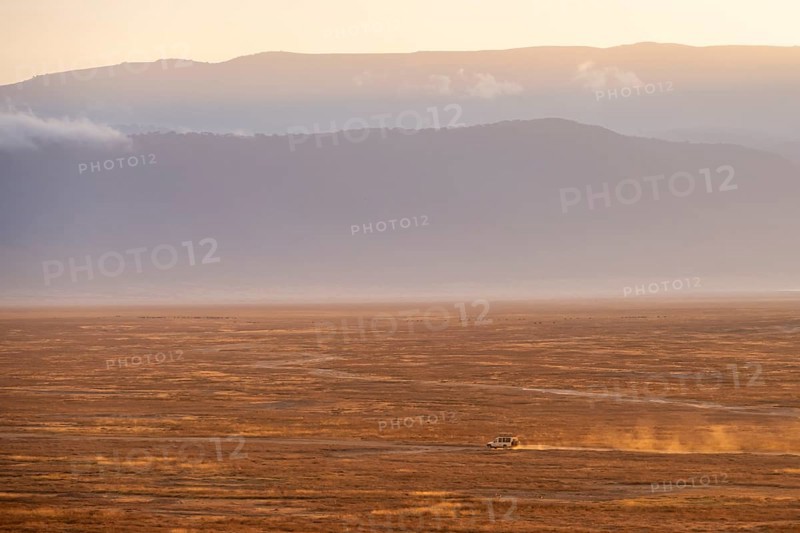 Safari vehicle, Toyota Landcruiser off-road vehicle drives in Ngorongoro Crater at sunrise, atmospheric morning light, Ngorongoro Conservation Area, Tanzania