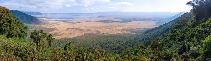 Panorama, view of Ngorongoro Crater, Crater Viewpoint, forest and savanna landscape, Ngorongoro Conservation Area, Tanzania