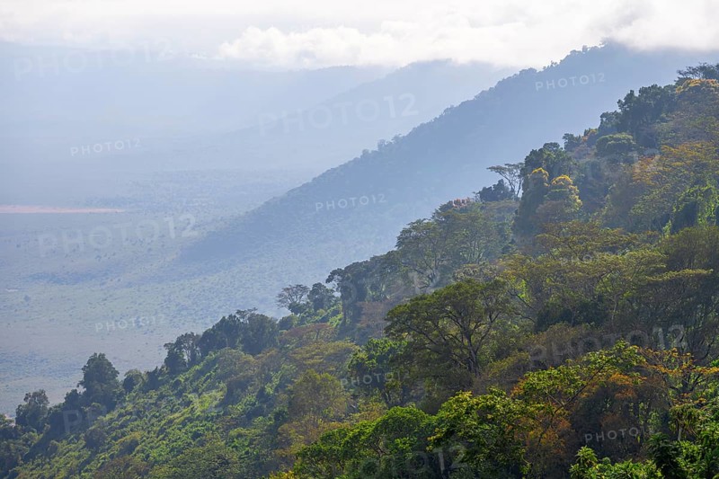 View of Ngorongoro Crater, Crater Viewpoint, mountain slopes with forest, Ngorongoro Conservation Area, Tanzania
