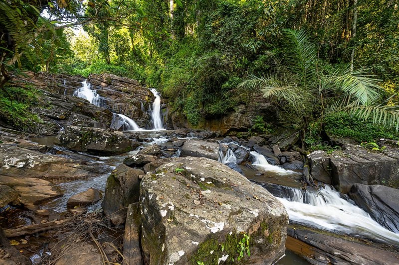 Derema Waterfall flows through thick vegetation, tropical rainforest in Amani Nature Forest Reserve, long exposure, Eastern Usambara Mountains, Tanga, Tanzania
