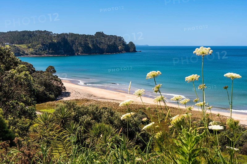 Landscape with sea and sandy beach in New Zealand. View of Hot Water Beach. Hot Water Beach, Coromandel Peninsula, Waikato, New Zealand