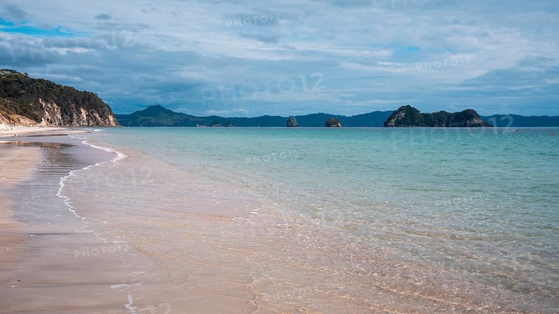 Landscape with sea and sandy beach in New Zealand. Hahei Beach, Hahei, Coromandel Peninsula, Waikato, New Zealand