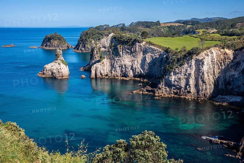 Landscape with sea and cliffs in New Zealand. Te Pare Point, Hahei, Coromandel Peninsula, Waikato, New Zealand