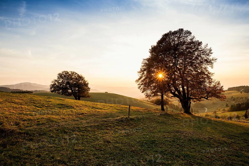 Weather forecast in autumn, sunset, Schauinsland, Freiburg im Breisgau, Black Forest, Baden-WÃ¼rttemberg, Germany