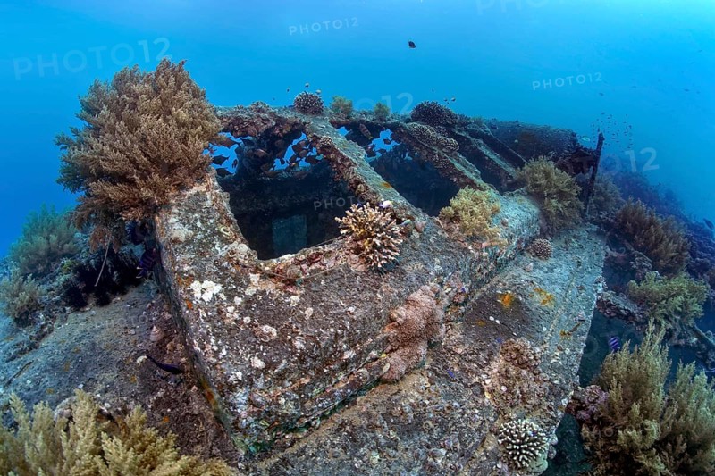 Deck, overgrown with various corals, SS Turkia, British, steamship, sunk 17.05.1941, Second World War, Red Sea, Gulf of Suez, Egypt