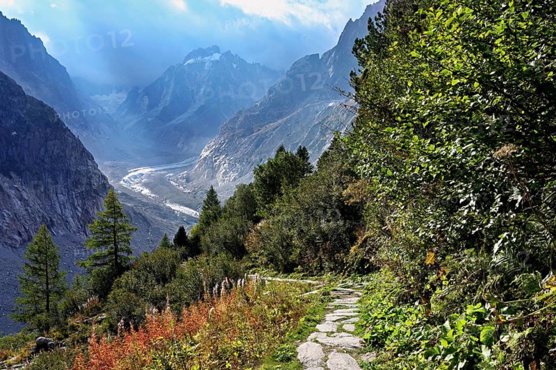 Hiking trail in autumn-colored surroundings with the Mer de Glace glacier, Mont-Blanc, Chamonix-Mont-Blanc, Haute-Savoie, France