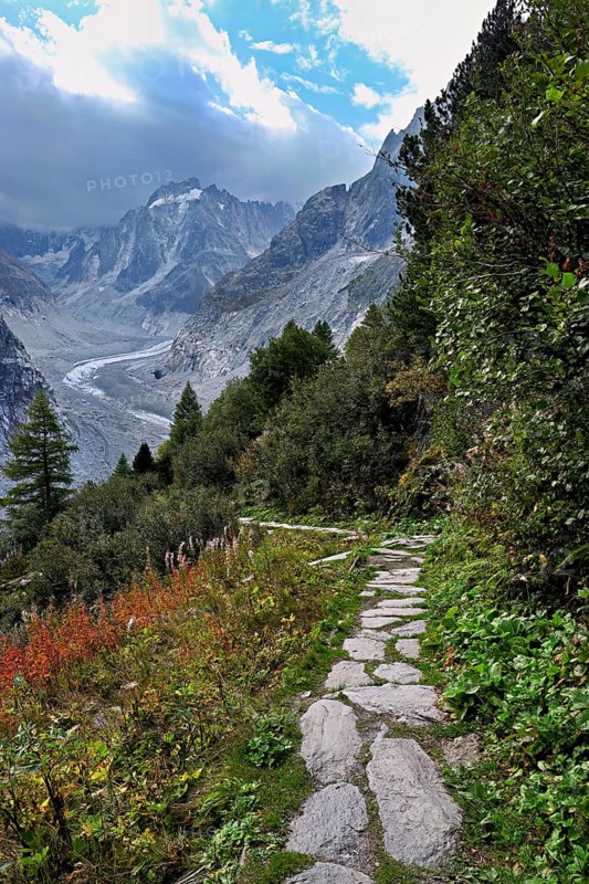 Hiking trail in autumn-colored surroundings with the Mer de Glace glacier, Mont-Blanc, Chamonix-Mont-Blanc, Haute-Savoie, France
