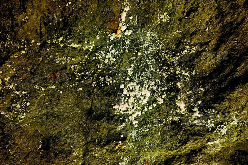 Salz am Fels, salt mine, Bex, Canton of Vaud, Switzerland