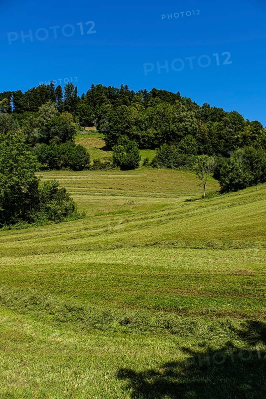 Picturesque alpine meadow landscape on PfÃ¤nder near Fluh, Bregenz, Vorarlberg, Austria