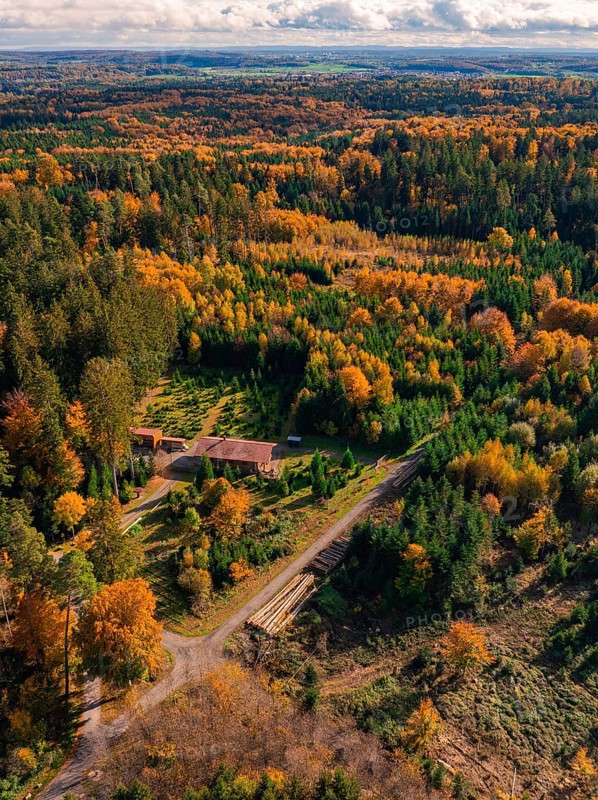 Autumn landscape with thick green and orange trees, dotted with buildings, under a cloudy sky, Calw district, Germany