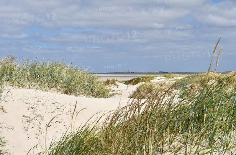 Dune landscape near Sankt Peter-Ording, Westerhever lighthouse, North Sea, Schleswig-Holstein, Germany