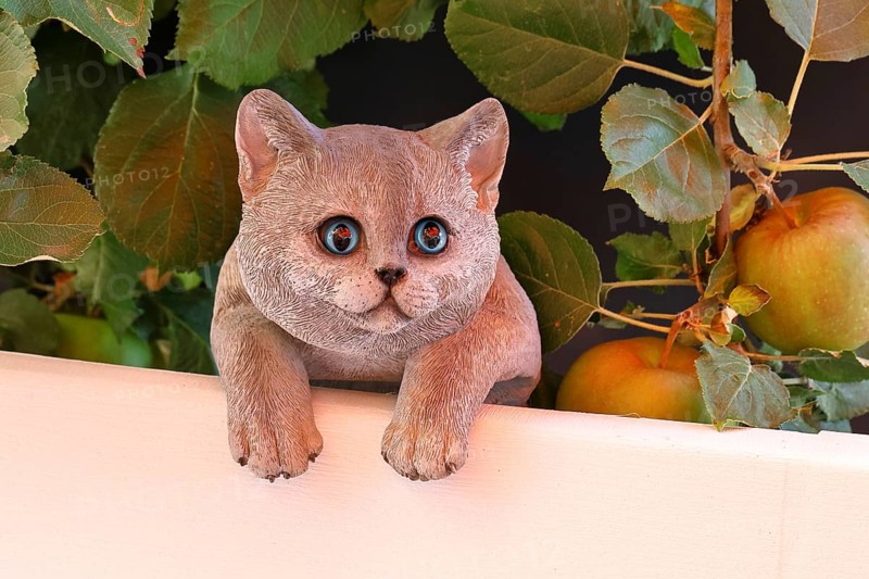 Ceramic cat looking intently in a garden, Wilnsdorf, North Rhine-Westphalia, Germany