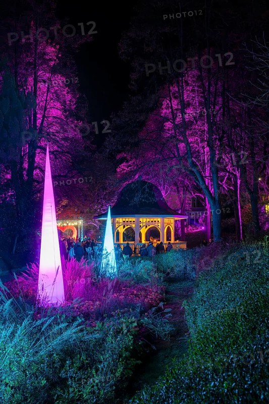 Light art, light installation, illuminated sculptures in the city garden of the city of Radolfzell am Lake Constance, as part of the Radolfzell Lichtblicke event and art campaign, supported by the Ministry of Labour, Economy and Tourism Baden-WÃ¼rttemberg, Konstanz district, Baden-WÃ¼rttemberg, Germany