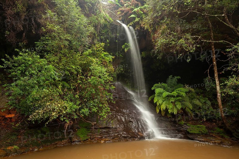 Rainy day reveals lush nature at hidden waterfall in the Blue Mountains, New South Wales, Australia