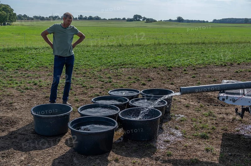 Shepherd fills water tubs from a pickup truck for sheep in the pasture, Mecklenburg-Western Pomerania, Germany