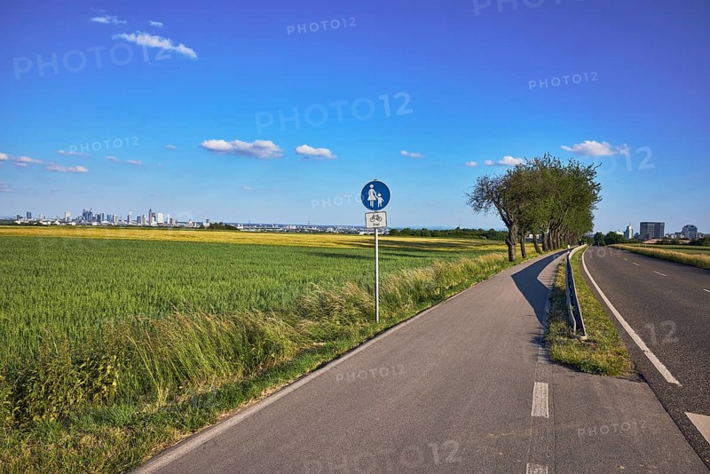 Cultural landscape, fields, agriculture, cornfield, footpath and cycle path, traffic sign special path for pedestrians, additional sign bicycles free, road, guardrail, general architecture, skyline, total views, view of Frankfurt am Main, side light, shadow, blue sky, cumulus clouds, country road L3006, Eschborner StraÃŸe, Steinbach, Taunus, Hochtaunuskreis, Hesse, Germany
