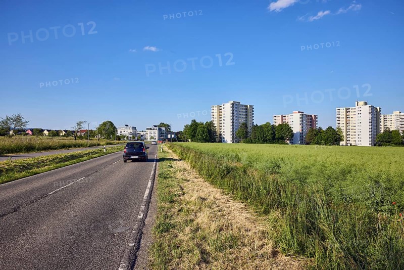 View of skyscrapers on NiederhöchstÃ¤dter StraÃŸe, fields, cultivated landscape, oilseed rape (Brassica napus), car, skyscrapers, residential buildings, trees, blue sky, cumulus clouds, Sodener StraÃŸe, Steinbach, Taunus, Hochtaunus, Hesse, Germany