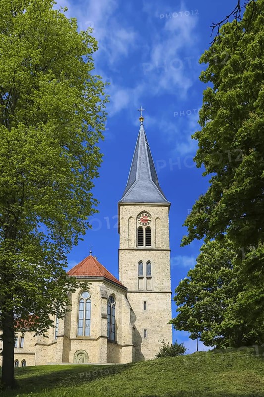 St. Martinus, catholic church, place of worship, sacral building, church tower, clock, cross, religious building, Dotternhausen, Zollernalbkreis, Baden-Württemberg, Germany