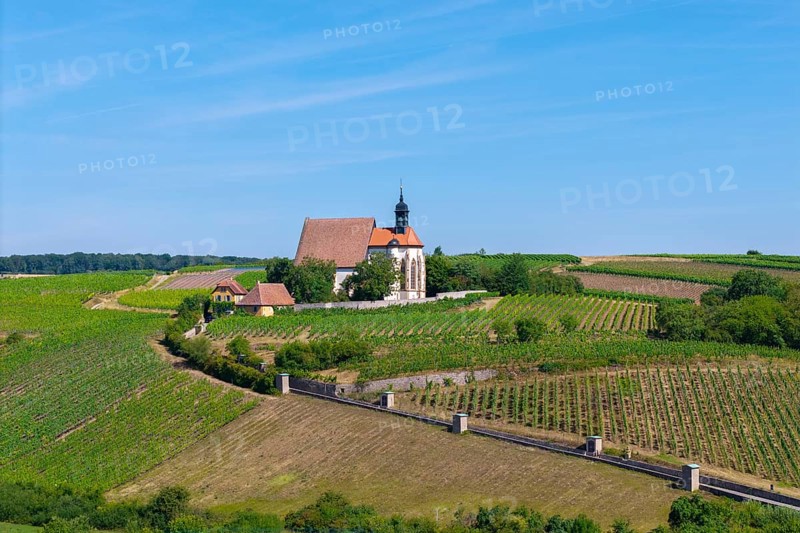 Pilgrimage church Maria im Weingarten, surrounded by vineyards under a clear blue sky, aerial view, near Volkach am Main, Lower Franconia, Mainfranken, Bavaria, Germany