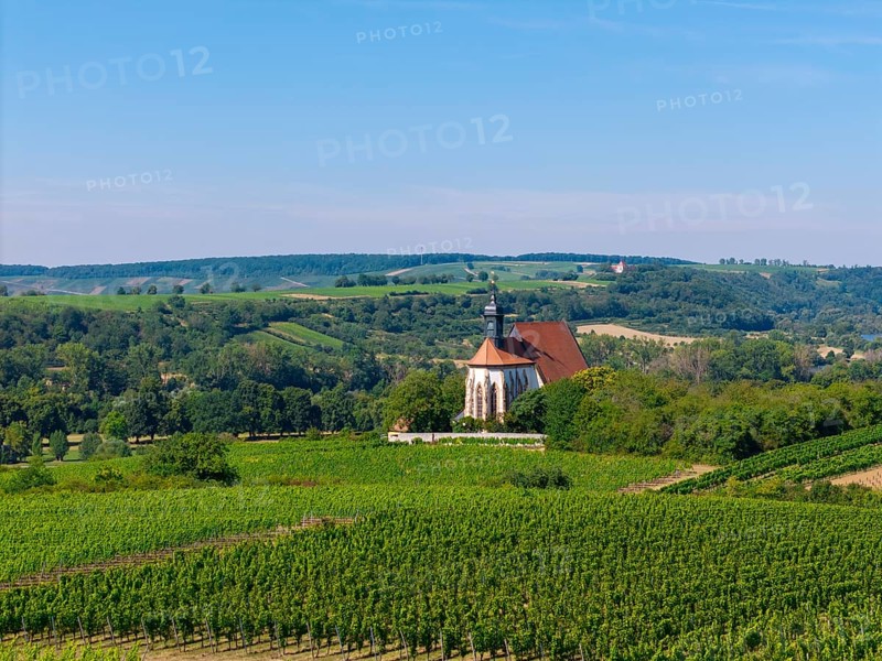 Pilgrimage church Maria im Weingarten, in the middle of vineyards with wooded hills in the background, aerial view, near Volkach am Main, Lower Franconia, Mainfranken, Bavaria, Germany