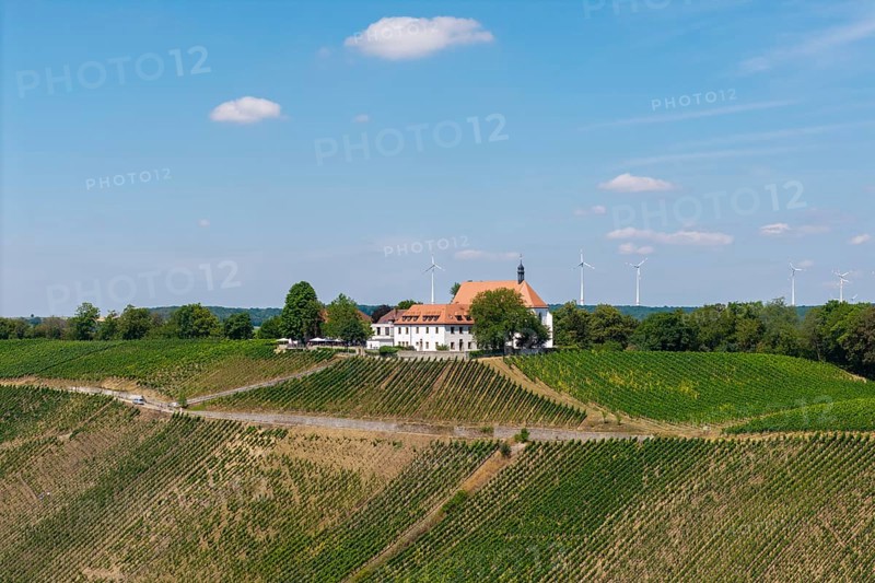 Rural scene with vineyards, a white building with a red roof and wind turbines in the background under a blue sky, Monastery Church of the Protection of the Virgin Mary, Vogelsburg near Volkach, Mainfranken, Mainschleife, Franconia, Lower Franconia, Bavaria, Germany