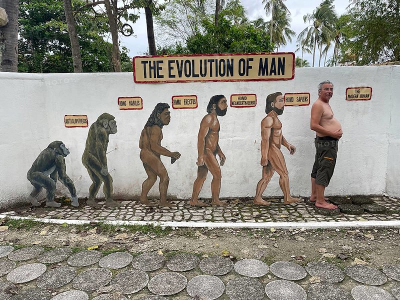 Evolution of anatomically modern man (Homo sapiens), parody, satire, funny, humour, big belly, overweight, Negros, Philippines