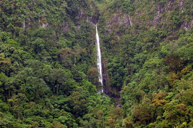 Tropical rainforest, protected area, Northern Negros Natural Park, waterfall, Negros, Northern Negros, Philippines