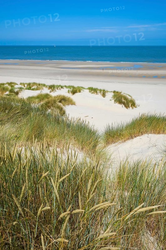 Domburg, Zeeland, Netherlands - Noordduine Domburg beach
