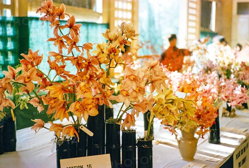 People attending flower show at the Singapore Turf Club, The 4th World Orchid Conference, Singapore, Southeast Asia, October 3-10, 1963