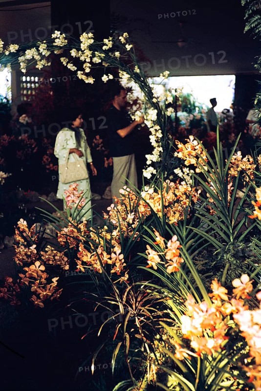 People attending flower show at the Singapore Turf Club, The 4th World Orchid Conference, Singapore, Southeast Asia, October 3-10, 1963