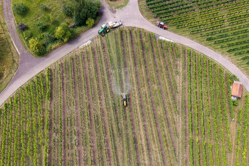 Extensive green vineyards from above with a tractor working between the rows, aerial view, spraying the vines against diseases, plant protection, near Korb, Baden-Württemberg, Germany