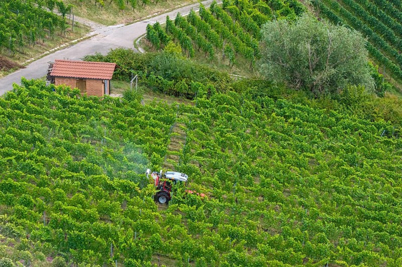 A tractor drives through a green vineyard with a small hut surrounded by plants, aerial view, spraying the vines against diseases, plant protection, near Korb, Baden-Württemberg, Germany