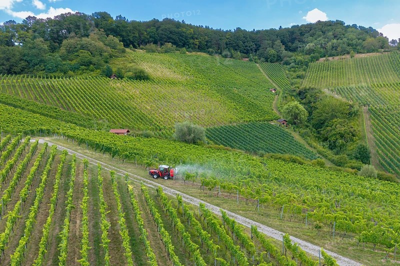 Hilly green vineyards with a tractor on a path, surrounded by nature and plants, aerial view, spraying the vines against diseases, plant protection, near Korb, Baden-Württemberg, Germany