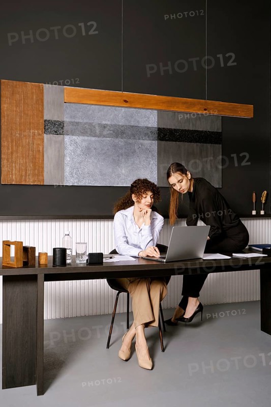 Two women engage in a business discussion in a stylish office. One woman is seated at a desk with a laptop, while the other stands nearby, reviewing the screen