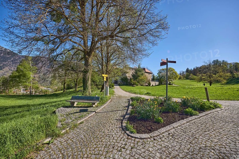 Footpath, cobblestones, bench, flowerbed, trees, lawn, hill, mountain landscape, forest, blue sky, cloudless, Pfannhauserweg, Bad Reichenhall, Berchtesgadener Land district, Bavaria, Germany